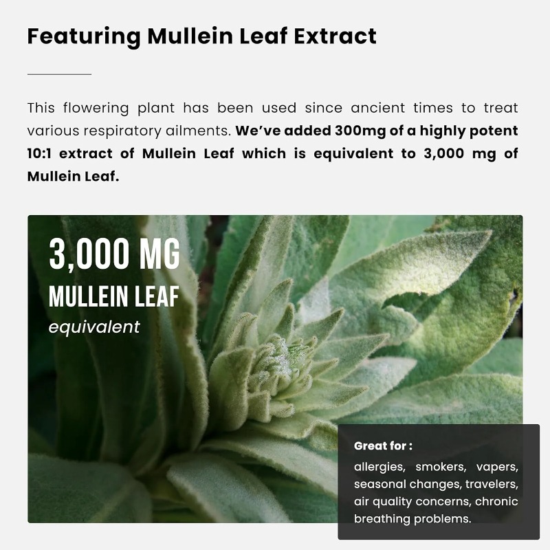 Mullein Leaf Extract - Lung Cl - Herbal Supplement review and price
