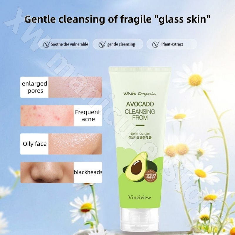 Korean Chamomile Tea Tree Avoc - Chamomile Tea review and price